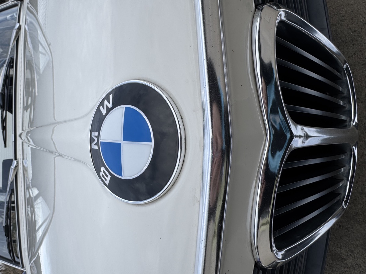 BMW Emblem und Niere, Detailaufnahme
